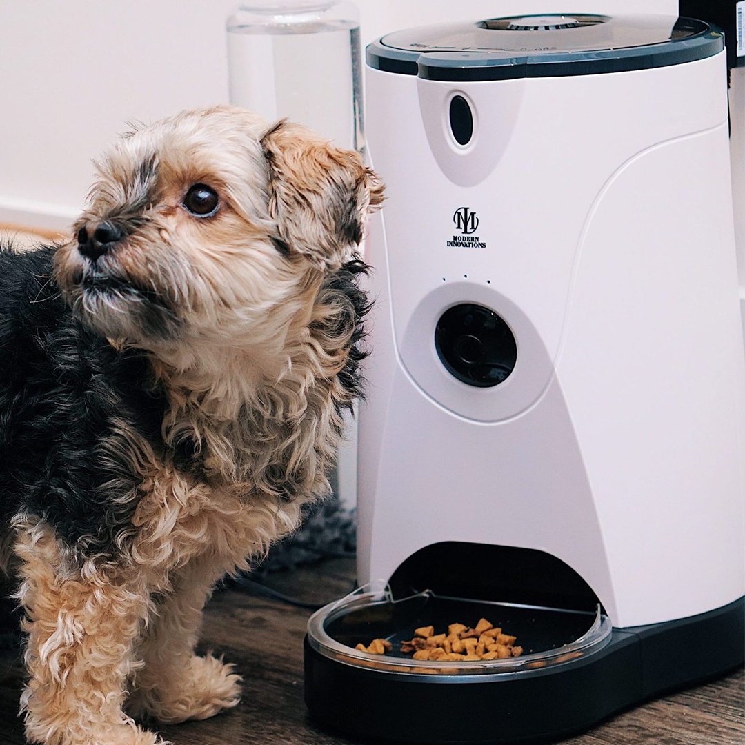 Automatic Pet Feeder - Cargo's Cargo