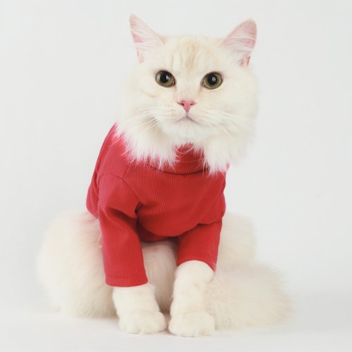 Label Turtleneck Red - Cargo's Cargo