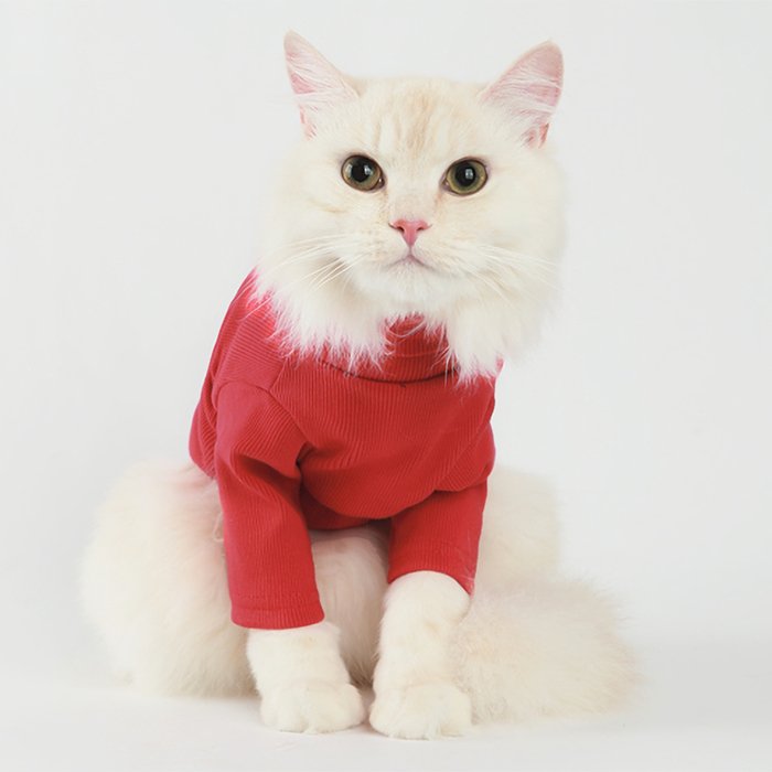 Label Turtleneck Red - Cargo's Cargo