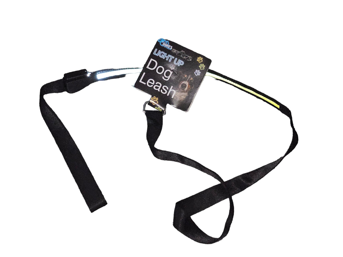 Light Up Dog Leash - Cargo's Cargo