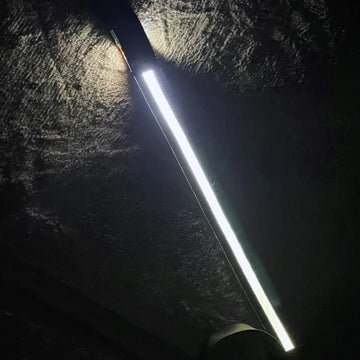 Light Up Dog Leash - Cargo's Cargo