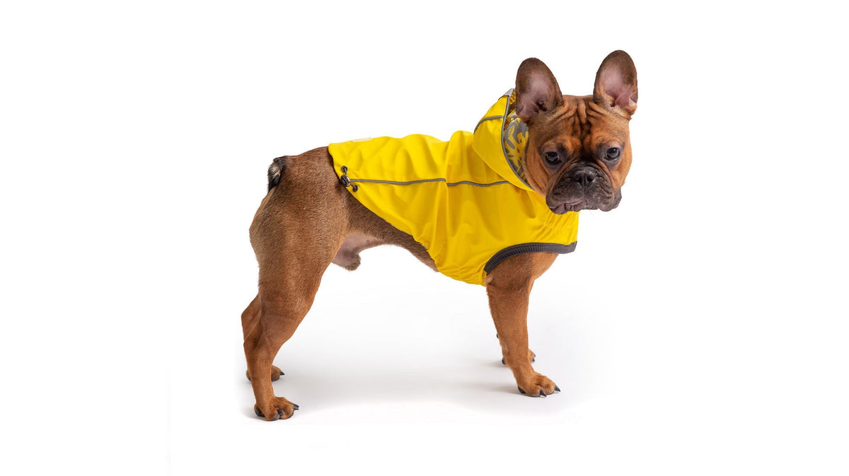 OG Raincoat - Reversible - Cargo's Cargo