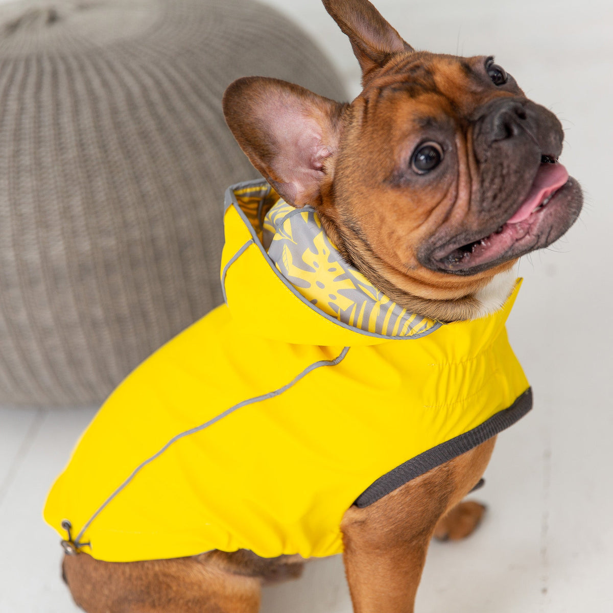 OG Raincoat - Reversible - Cargo's Cargo