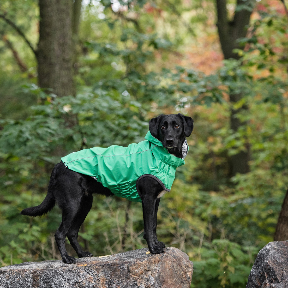 og raincoat - reversible green