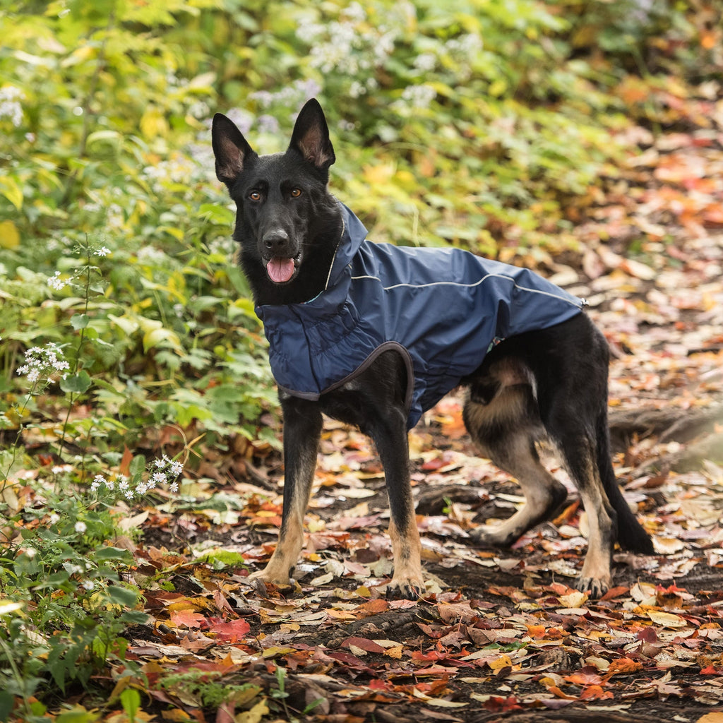 OG Raincoat - Reversible, Navy - Cargo's Cargo