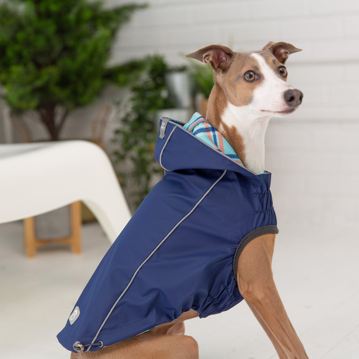 OG Raincoat - Reversible, Navy - Cargo's Cargo