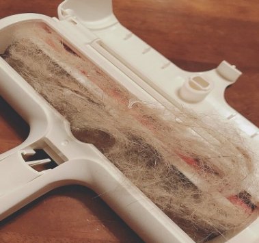 Pet Hair Remover - Cargo's Cargo