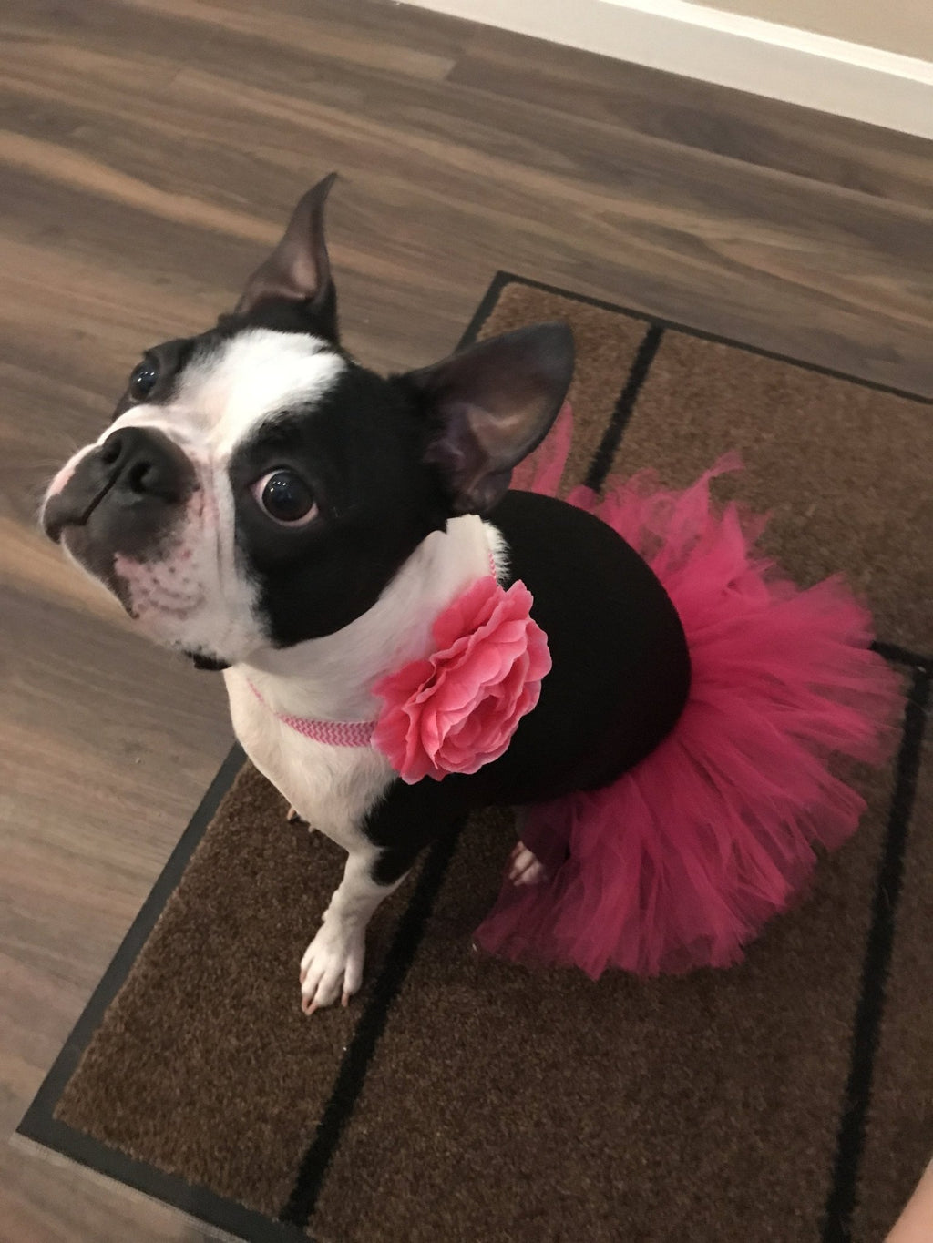 Pink Pet Tutu Skirt - Cargo's Cargo