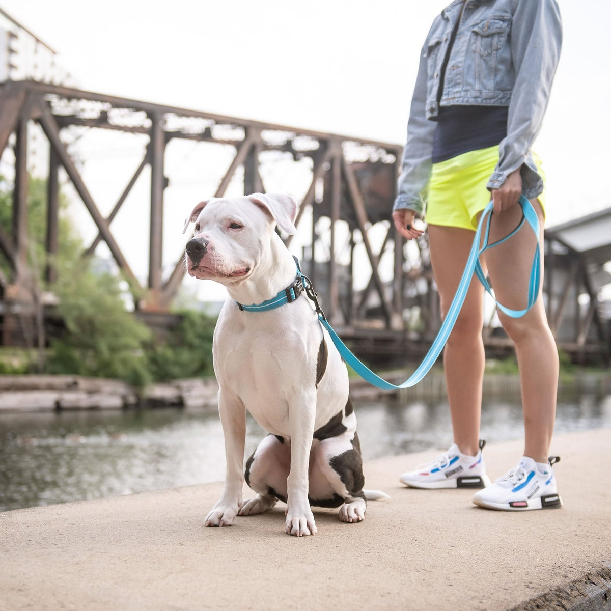Reflective Leash - Blue - Cargo's Cargo