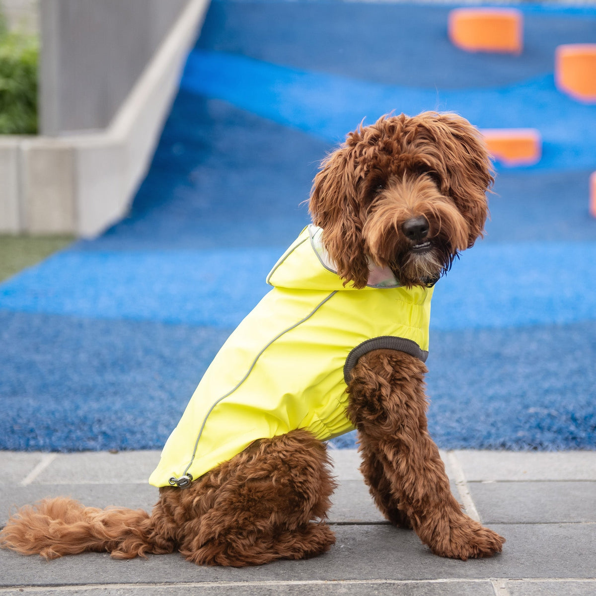 Reversible Raincoat - Cargo's Cargo