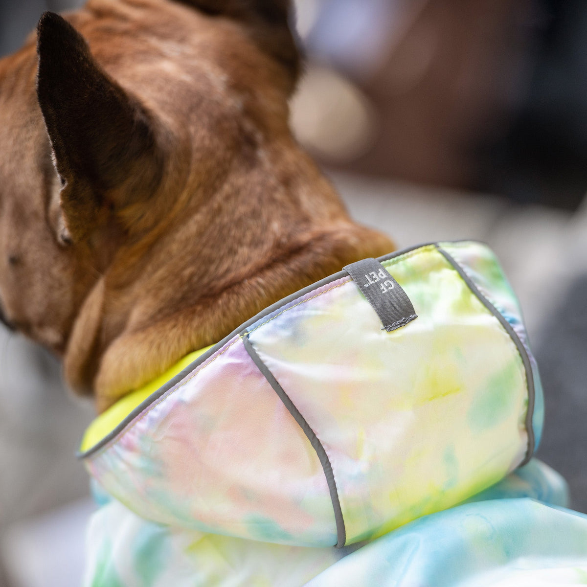 Reversible Raincoat - Cargo's Cargo